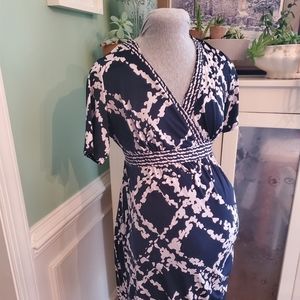 Pea in the Pod Maternity Dress